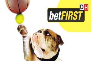 Publicité betFIRST Chien Lucky Basket Tennis